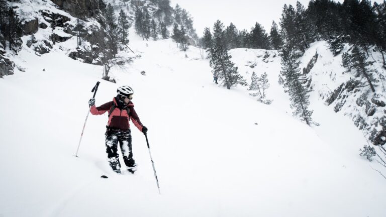 Skieuse de randonnée entre les pins à crochets du Néouvielle